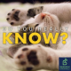 Could CBTI help you sleep better ?