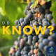 Is Britain the new place to get your wine?