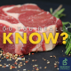 What is the carnivore diet?