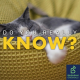 Are micro naps actually effective?