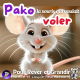 Pako la souris qui voulait voler 🐭 | Histoire pour s'endormir 🌙 | Histoire pour enfant