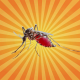 Le moustique se souvient de l'odeur des insecticides !