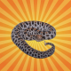 Le serpent à sonnette pygmée voit la chaleur de ses proies