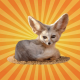 Le fennec entend ses proies sous la surface du sable