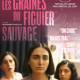 LES BARBARES x LES GRAINES DU FIGUIER SAUVAGE