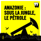 WE MADE IT - Amazonie : sous la jungle, le pétrole (1/3)