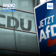 CDU-AFD collaboration and the Musk effect: what could a future German coalition look like?