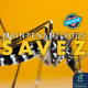 Moustique-tigre : comment s’en protéger ?