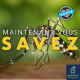 Moustique-tigre : comment s’en protéger ?
