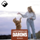 BONUS// Apolline, éducatrice-canin analyse le comportement de Lord, le chien de Corentin