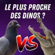 Dinosaure : ancêtre du crocodile ou... du pigeon ? 🦖