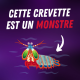 Pourquoi la crevette-mante est-elle si dangereuse ? 🦐