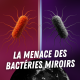 Vie miroir : cette découverte scientifique va-t-elle détruire le monde ?