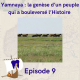 9 - Yamnaya : la genèse d’un peuple qui a bouleversé l’Histoire