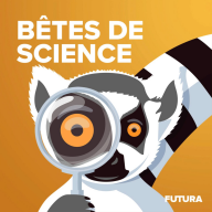 Bêtes de science - Le chien, fin détecteur... de menteurs REDIFF