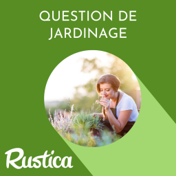 Questions de jardinage