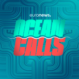 Coming soon: Ocean Calls
