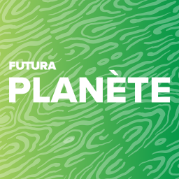 Planète